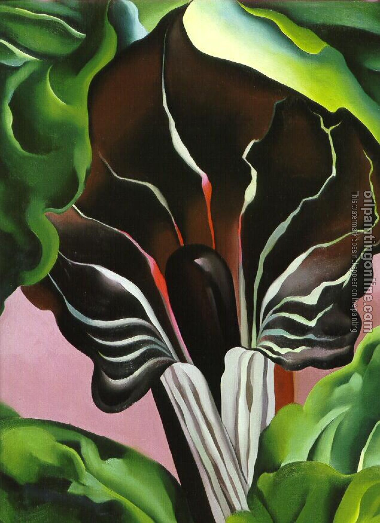 O Keeffe, Georgia - Jack in the Pulpit